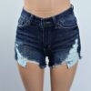 Shane Denim Shorts